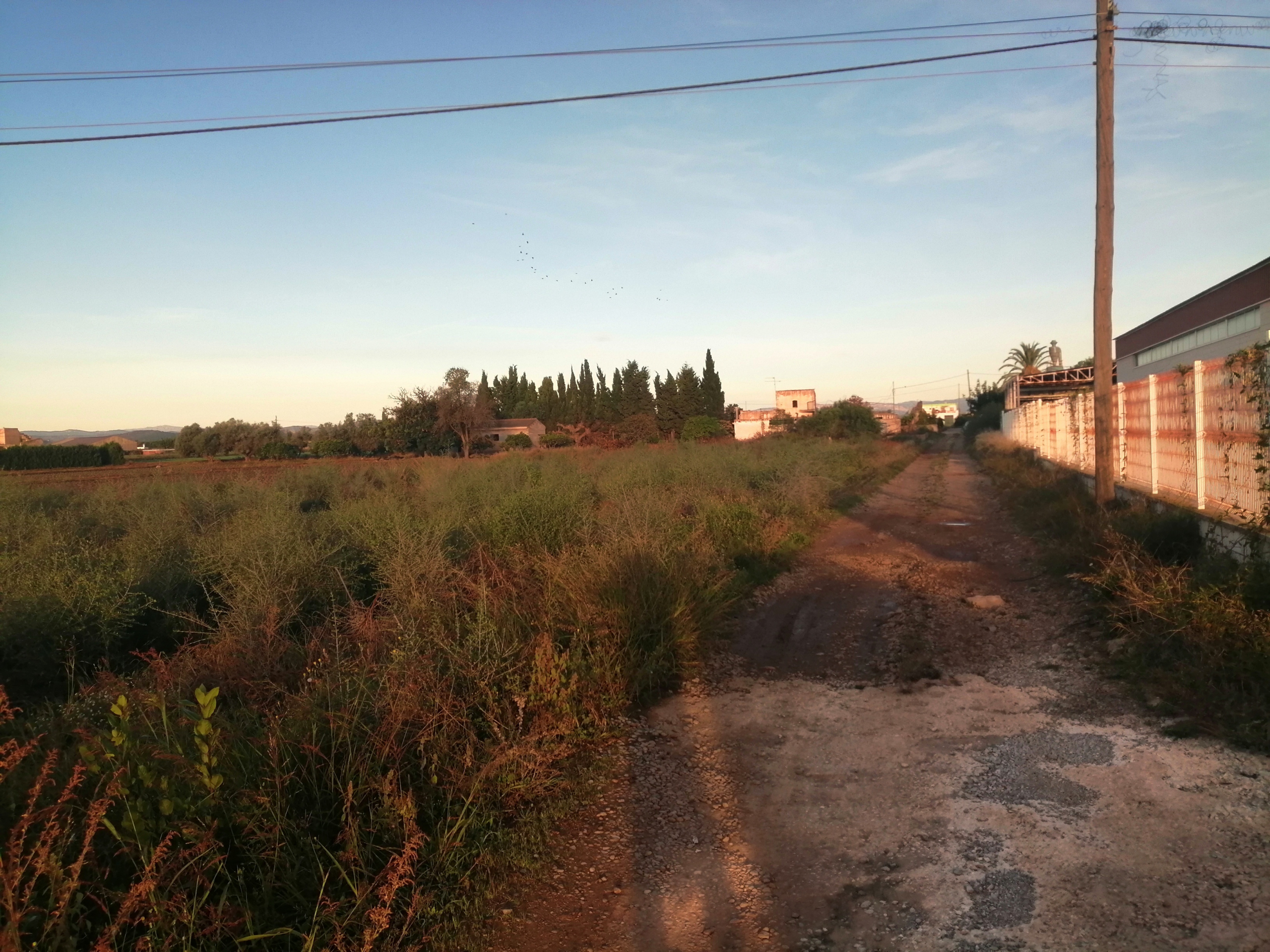 parcela n340 entre Benicarló y Vinaròs parcela n340 entre Benicarló y Vinaròs